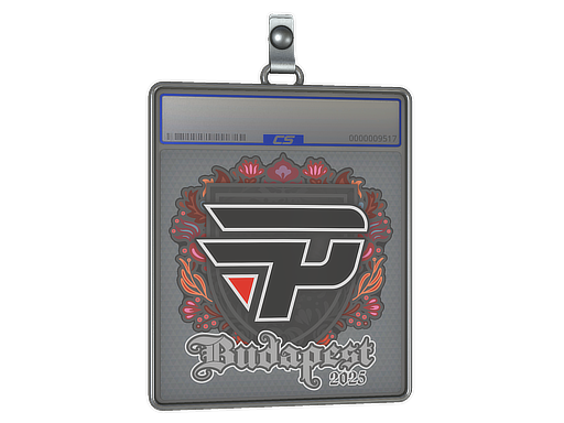 paiN Gaming - CS2 Sticker