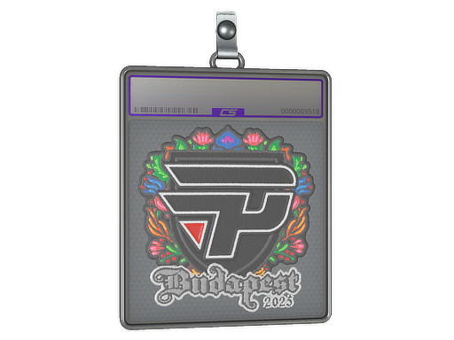 paiN Gaming - CS2 Sticker