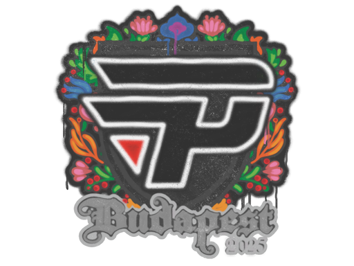 Sealed Graffiti | paiN Gaming | Budapest 2025