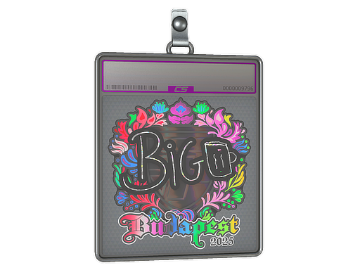 biguzera - CS2 Sticker