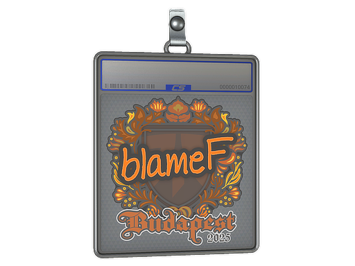 blameF - CS2 Sticker