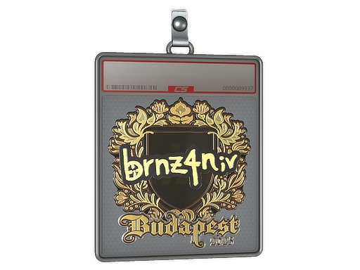 brnz4n - CS2 Sticker