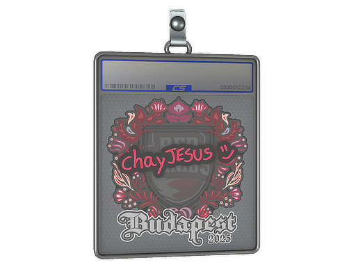 chayJESUS - CS2 Sticker