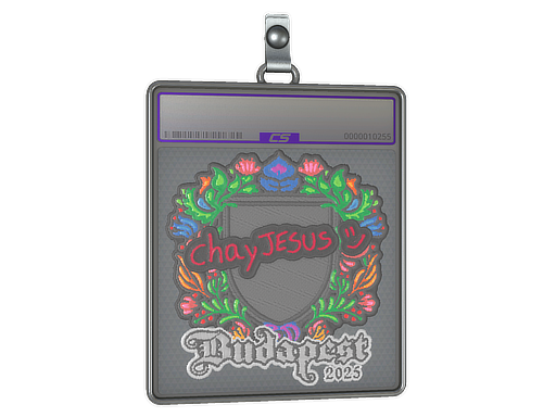 chayJESUS - CS2 Sticker