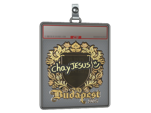 chayJESUS - CS2 Sticker