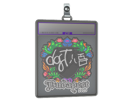 dgt - CS2 Sticker