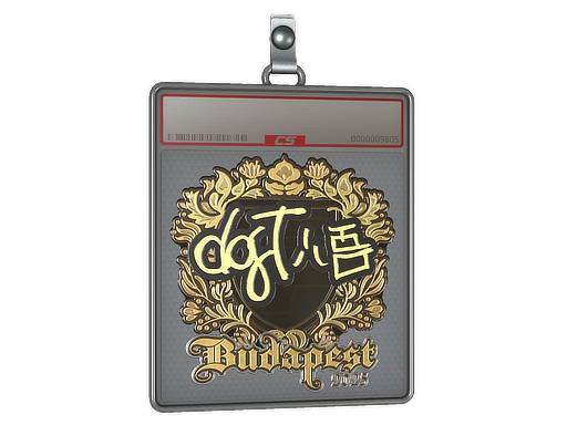 dgt - CS2 Sticker