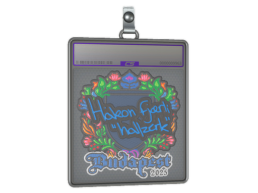 hallzerk - CS2 Sticker