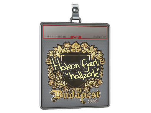 hallzerk - CS2 Sticker