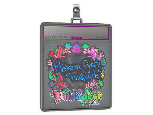 hallzerk - CS2 Sticker