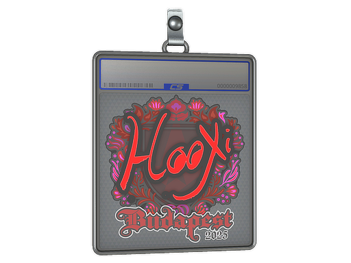 HooXi - CS2 Sticker
