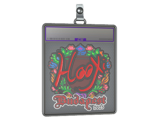 HooXi - CS2 Sticker