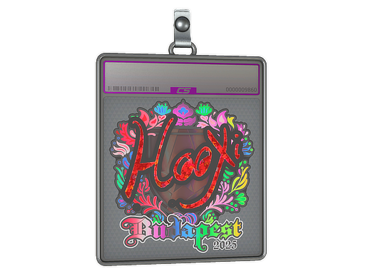 HooXi - CS2 Sticker