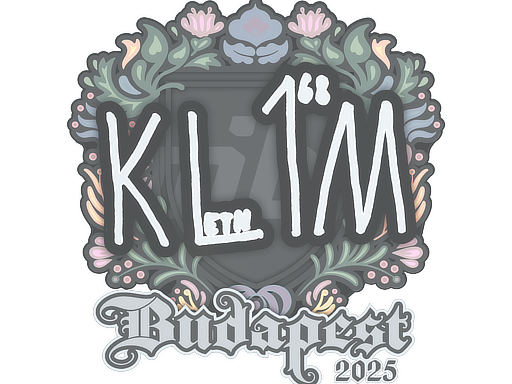 Sticker skin