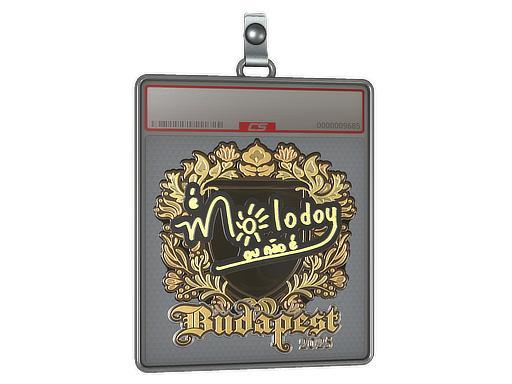 molodoy - CS2 Sticker