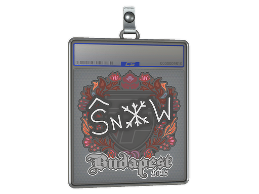 snow - CS2 Sticker