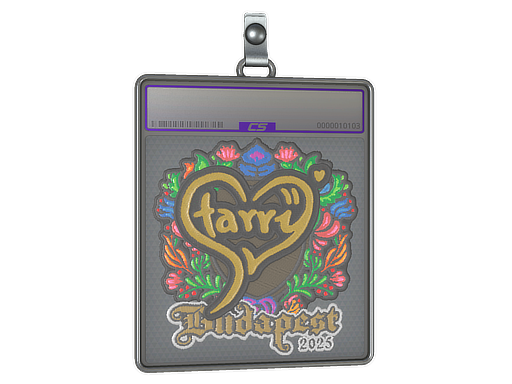Starry - CS2 Sticker
