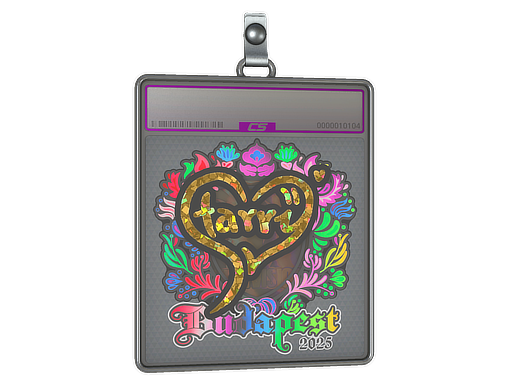 Starry - CS2 Sticker