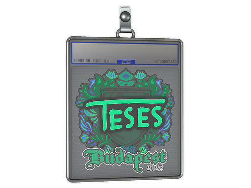 TeSeS - CS2 Sticker