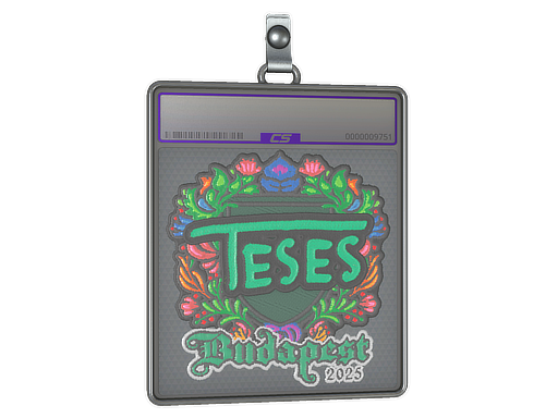 TeSeS - CS2 Sticker