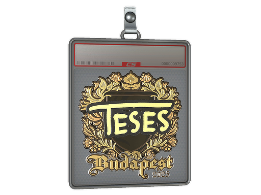 TeSeS - CS2 Sticker