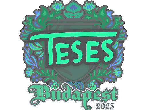 Sticker skin