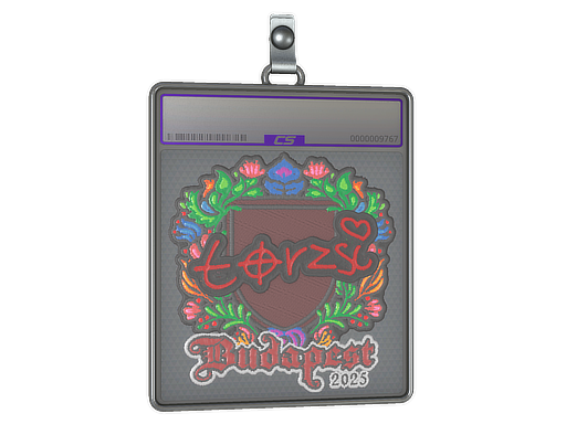 torzsi - CS2 Sticker