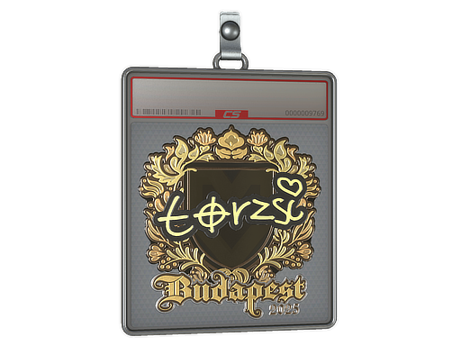 torzsi - CS2 Sticker