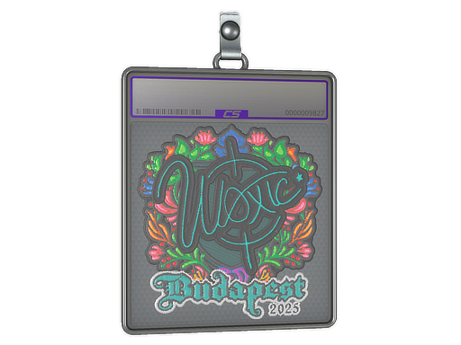 woxic - CS2 Sticker