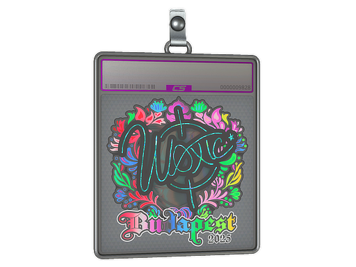 woxic - CS2 Sticker