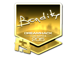 CS2 bondik