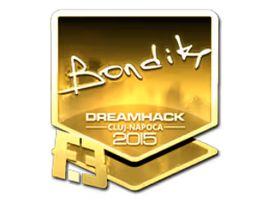 bondik (Gold) | Cluj-Napoca 2015 sticker