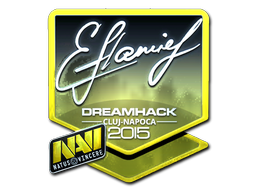 CS2 flamie