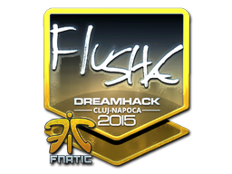 CS2 flusha