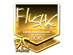 CS2 flusha