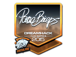 CS2 pashaBiceps
