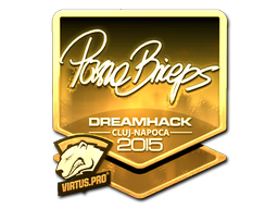 CS2 pashaBiceps