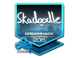 CS2 Skadoodle