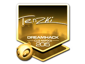 tenzki (Gold) | Cluj-Napoca 2015
