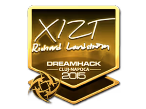 Xizt (Gold) | Cluj-Napoca 2015 sticker