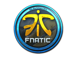 CS2  Fnatic 