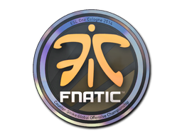 CS2  Fnatic 