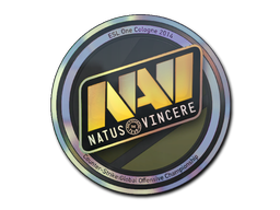 CS2  Natus Vincere 