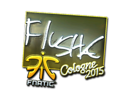 CS2 flusha