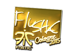 CS2 flusha