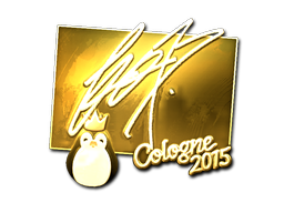 CS2 fox