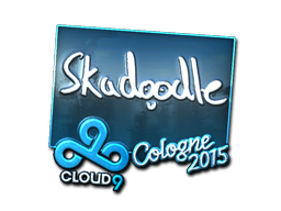 CS2 Skadoodle