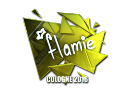 CS2 flamie