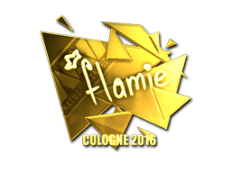CS2 flamie