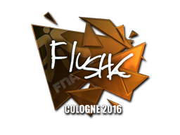 CS2 flusha
